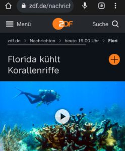 Florida kühlt Korallenriffe